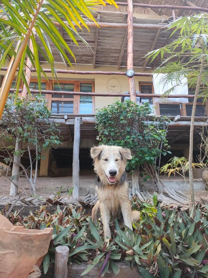 Casa Surf Lodge - Tofo Exterior photo